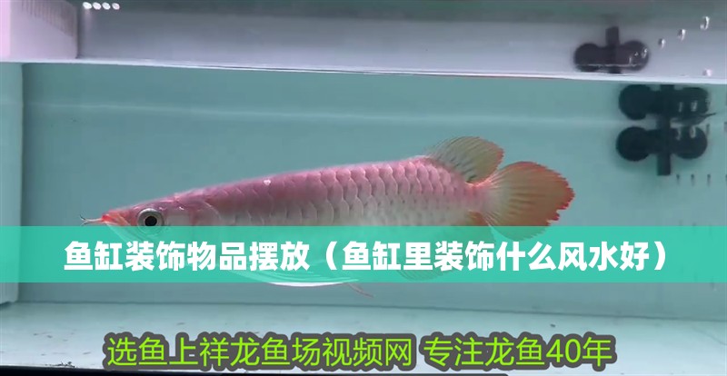 魚缸裝飾物品擺放（魚缸里裝飾什么風水好）