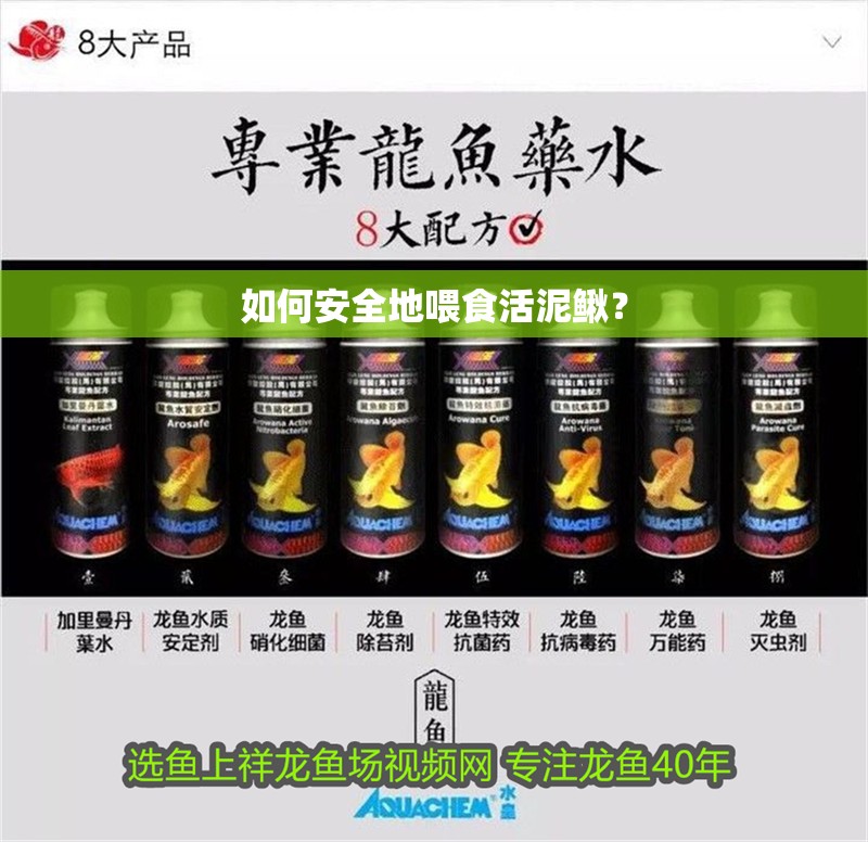 如何安全地喂食活泥鰍？
