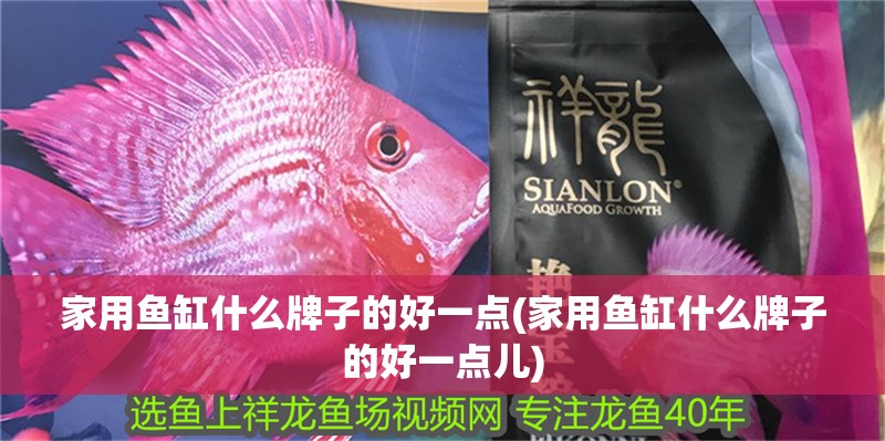 家用魚缸什么牌子的好一點(家用魚缸什么牌子的好一點兒)