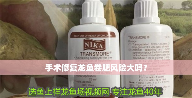 手術修復龍魚卷腮風險大嗎？