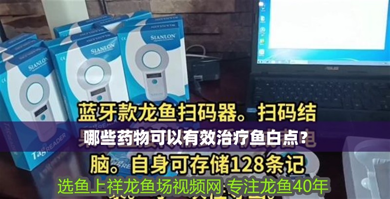 哪些藥物可以有效治療魚白點？