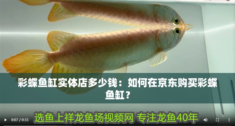 彩蝶魚缸實體店多少錢：如何在京東購買彩蝶魚缸？