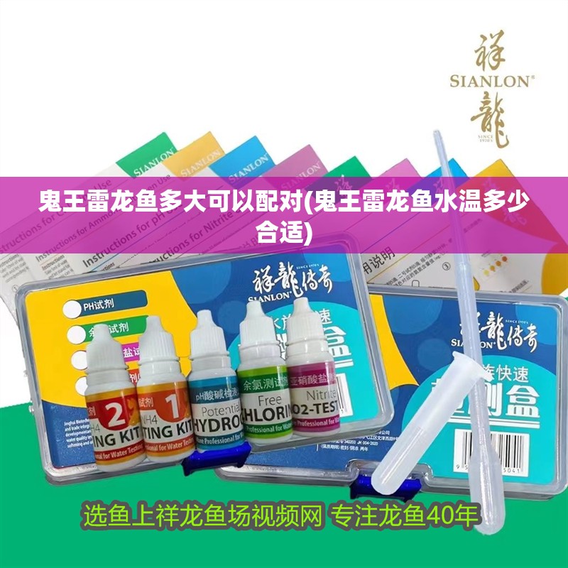 鬼王雷龍魚多大可以配對(鬼王雷龍魚水溫多少合適)