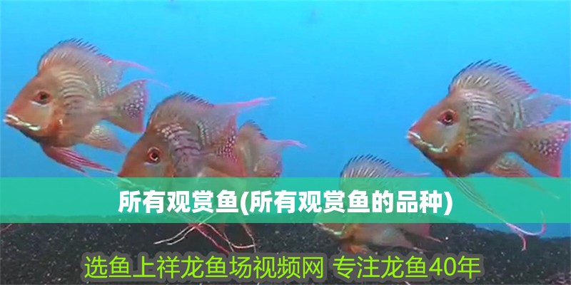 所有觀賞魚(所有觀賞魚的品種)