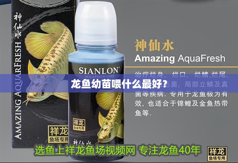 龍魚幼苗喂什么最好？
