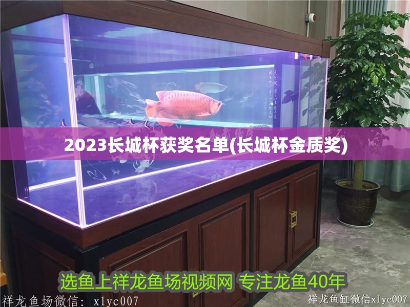 2023長城杯獲獎名單(長城杯金質獎)