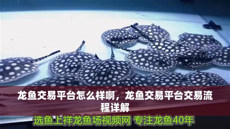 龍魚交易平臺(tái)怎么樣啊，龍魚交易平臺(tái)交易流程詳解