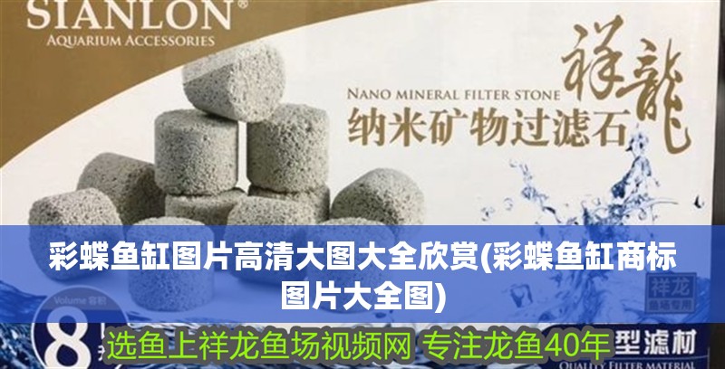 彩蝶魚缸圖片高清大圖大全欣賞(彩蝶魚缸商標圖片大全圖)