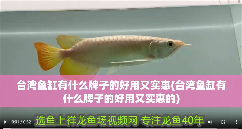 臺(tái)灣魚缸有什么牌子的好用又實(shí)惠(臺(tái)灣魚缸有什么牌子的好用又實(shí)惠的)