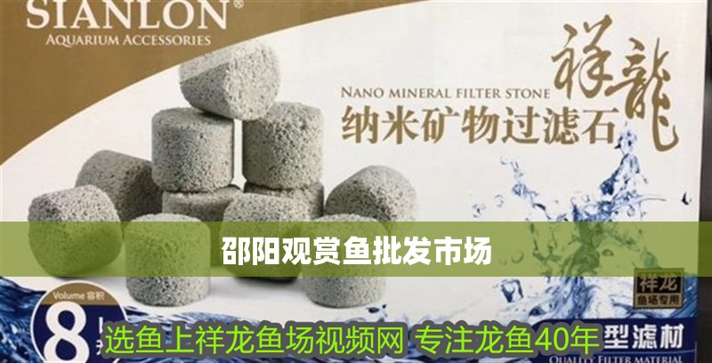 邵陽觀賞魚批發(fā)市場