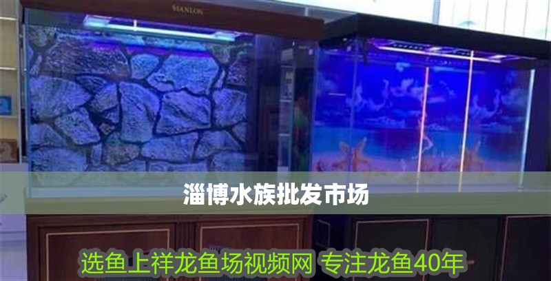 淄博水族批發市場