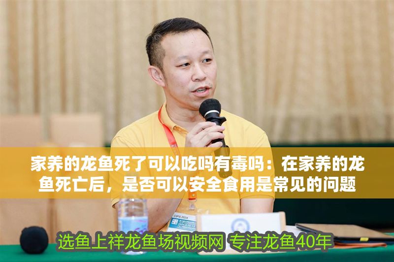 家養(yǎng)的龍魚(yú)死了可以吃嗎有毒嗎：在家養(yǎng)的龍魚(yú)死亡后，是否可以安全食用是常見(jiàn)的問(wèn)題