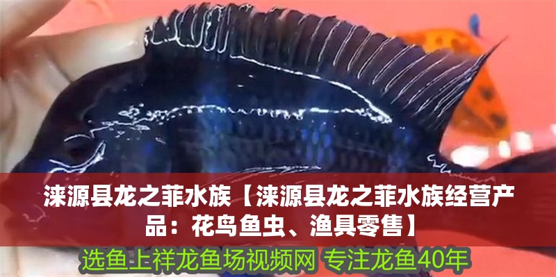 淶源縣龍之菲水族【淶源縣龍之菲水族經營產品：花鳥魚蟲、漁具零售】