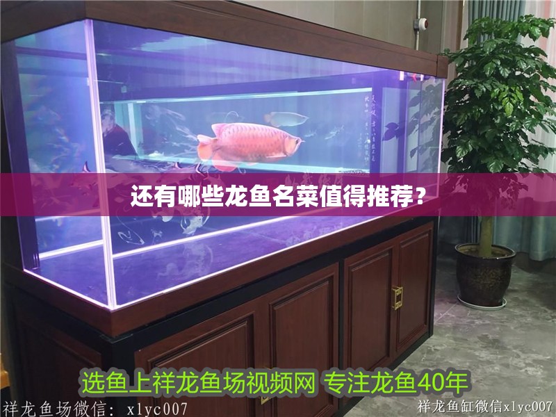 還有哪些龍魚名菜值得推薦？