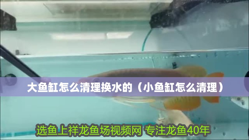 大魚缸怎么清理換水的（小魚缸怎么清理）