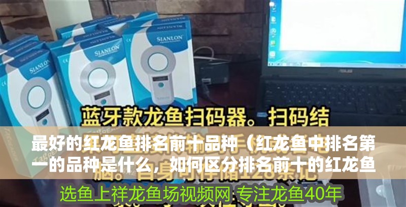 最好的紅龍魚(yú)排名前十品種（紅龍魚(yú)中排名第一的品種是什么，如何區(qū)分排名前十的紅龍魚(yú)品種）