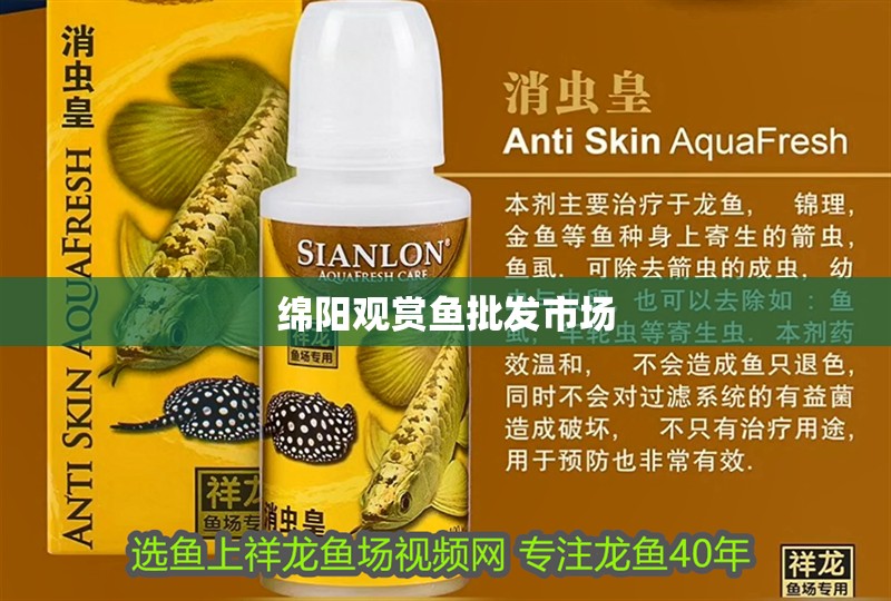 綿陽觀賞魚批發(fā)市場