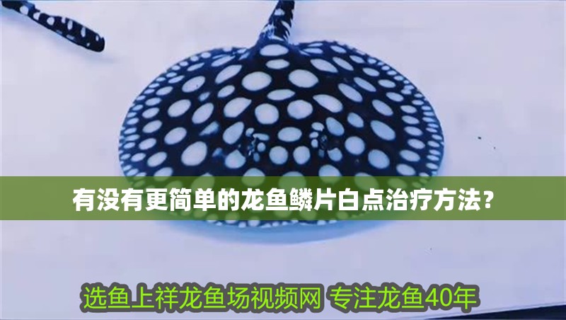 有沒有更簡單的龍魚鱗片白點治療方法？