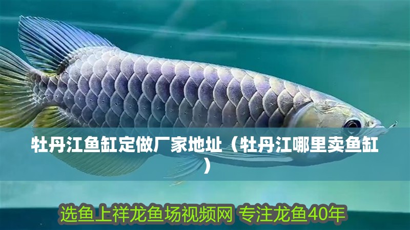 <strong><mark>牡丹江</mark></strong>魚缸定做廠家地址（<strong><mark>牡丹江</mark></strong>哪里賣魚缸）