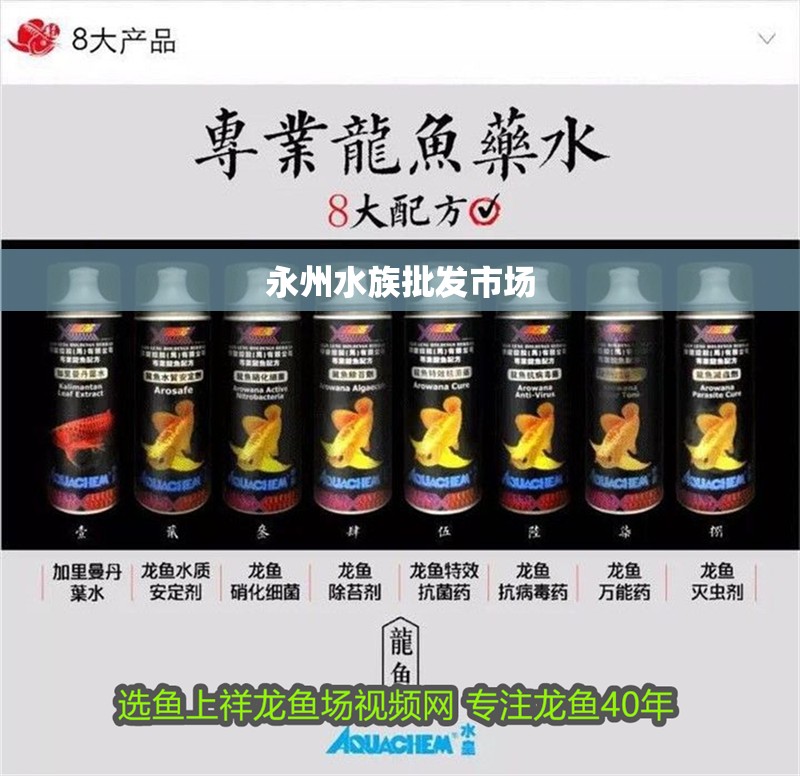 永州水族批發市場