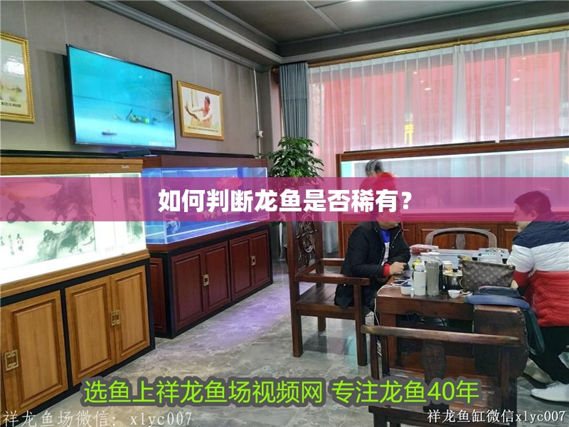 如何判斷龍魚(yú)是否稀有？