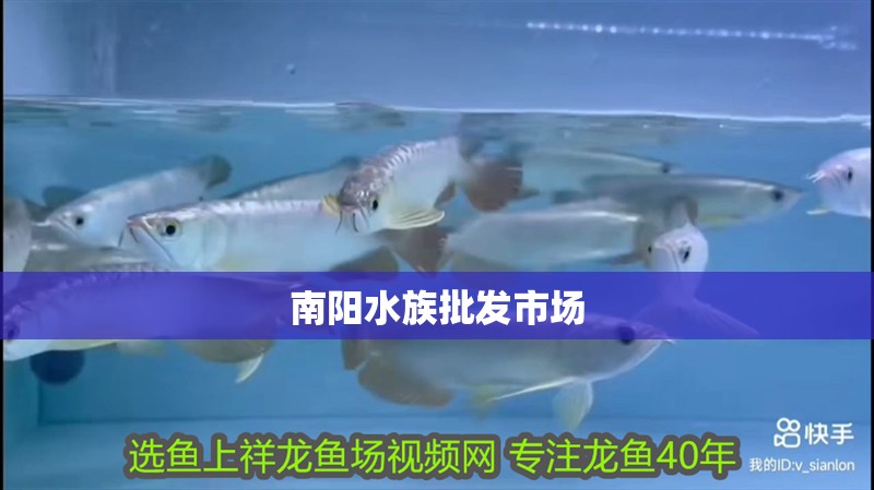 南陽水族批發市場