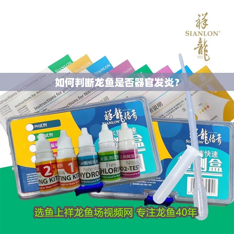 如何判斷龍魚是否器官發炎？