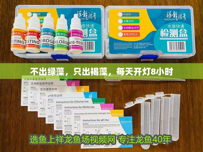 不出綠藻，只出褐藻，每天開燈8小時