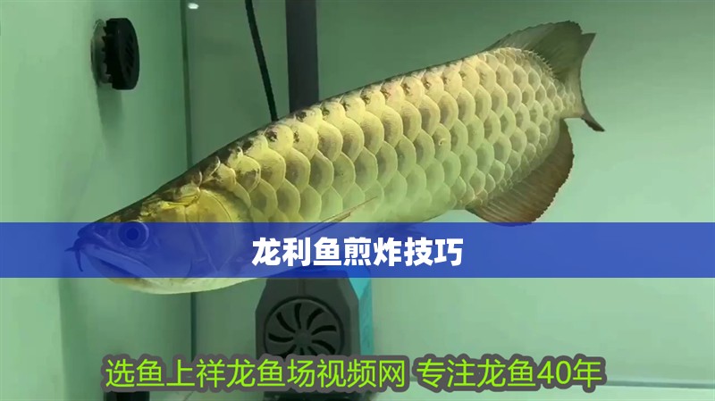龍利魚煎炸技巧