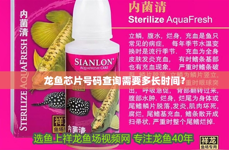 龍魚芯片號碼查詢需要多長時間？