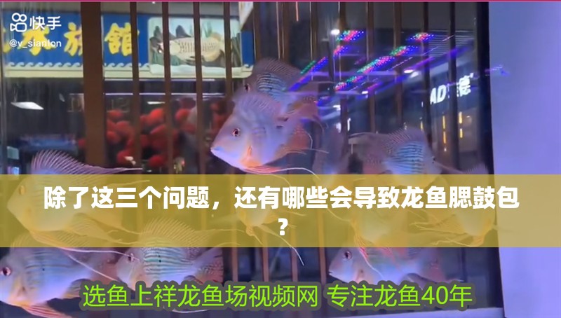 除了這三個問題，還有哪些會導致龍魚腮鼓包？