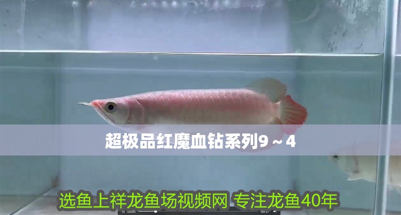 超極品紅魔血鉆系列9～4