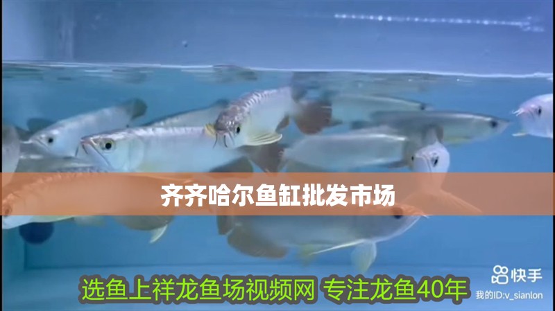 齊齊哈爾魚缸批發市場