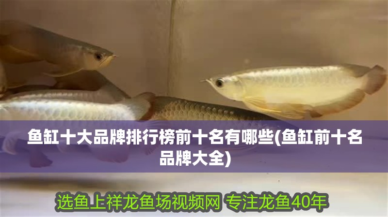 魚(yú)缸十大品牌排行榜前十名有哪些(魚(yú)缸前十名品牌大全)