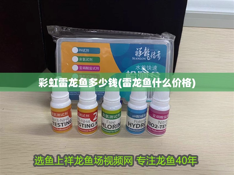 彩虹雷龍魚多少錢(雷龍魚什么價格)