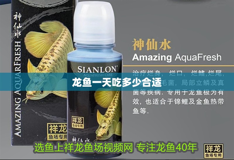 龍魚一天吃多少合適