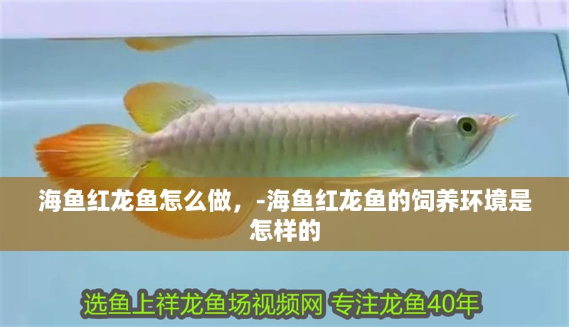 海魚紅龍魚怎么做，-海魚紅龍魚的飼養(yǎng)環(huán)境是怎樣的