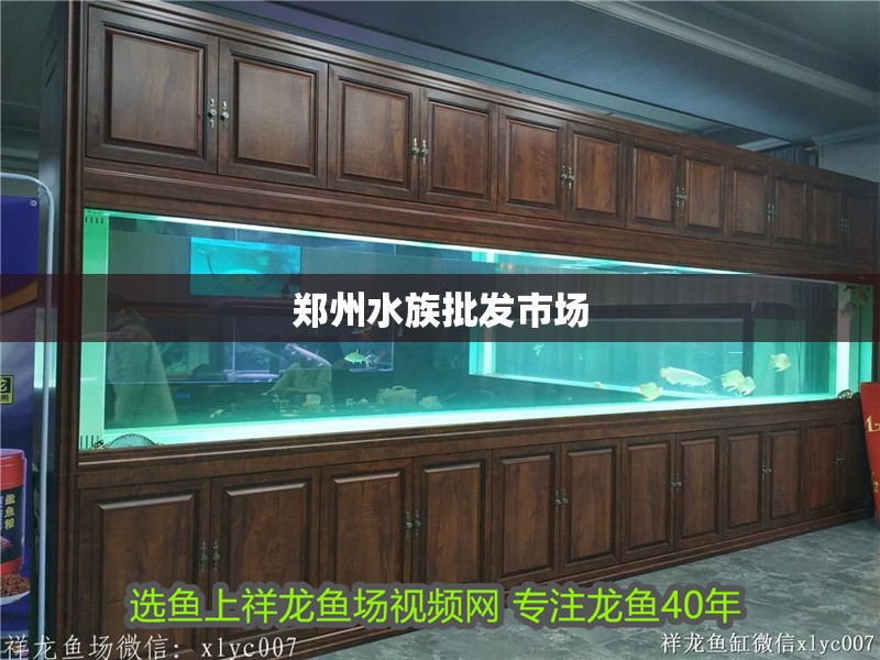 鄭州水族批發(fā)市場