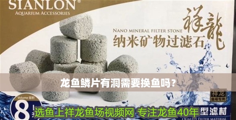 龍魚鱗片有洞需要換魚嗎？