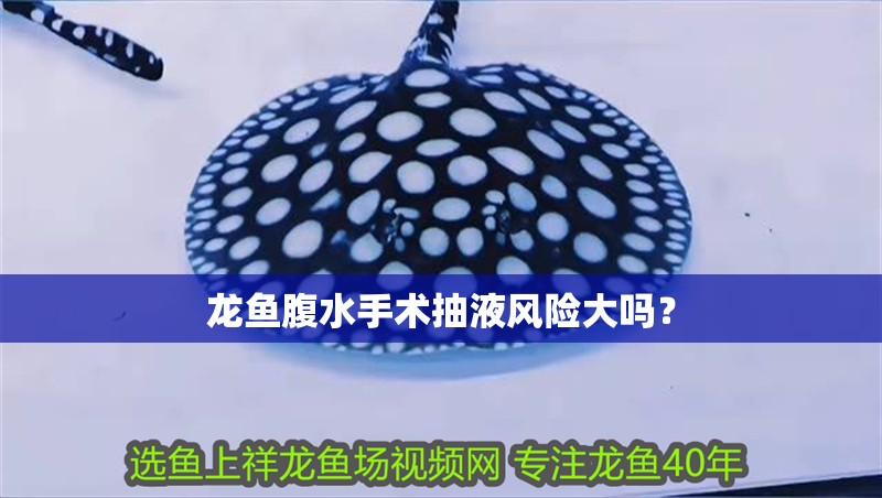 龍魚腹水手術(shù)抽液風(fēng)險(xiǎn)大嗎？