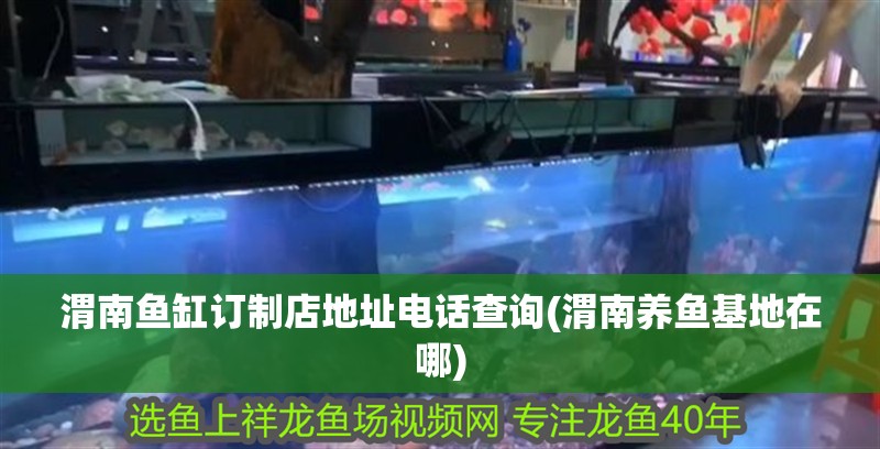 渭南魚缸訂制店地址電話查詢(渭南養(yǎng)魚基地在哪)