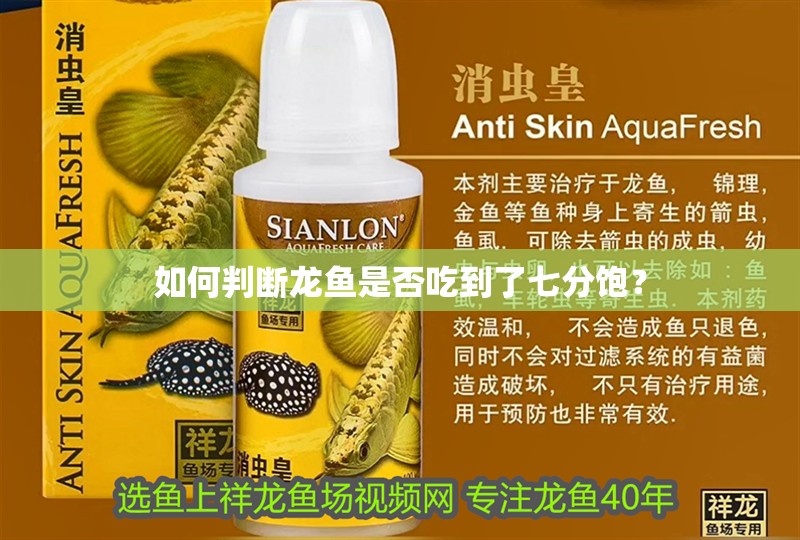 如何判斷龍魚是否吃到了七分飽？