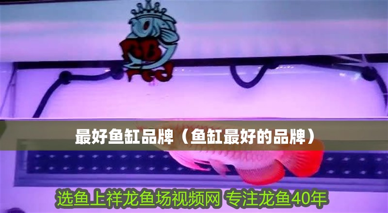 最好魚缸品牌（魚缸最好的品牌）