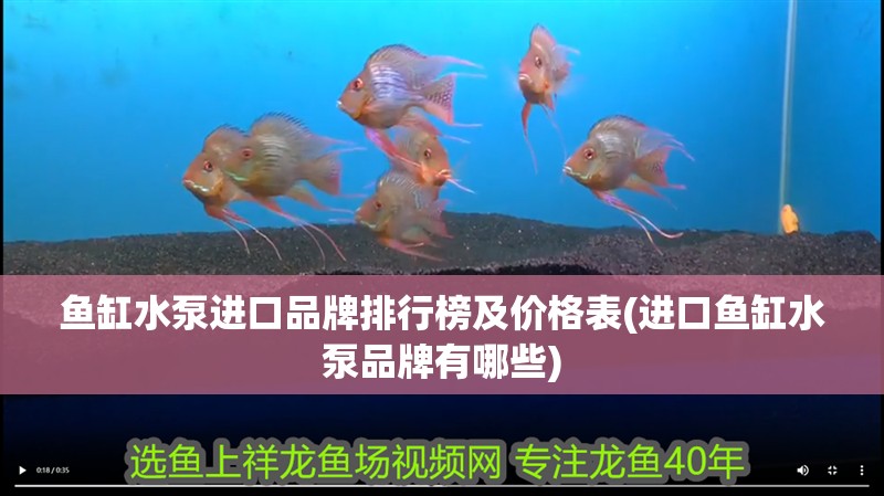魚缸水泵進口品牌排行榜及價格表(進口魚缸水泵品牌有哪些)