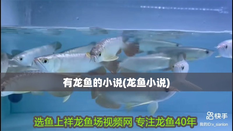 有龍魚的小說(龍魚小說)