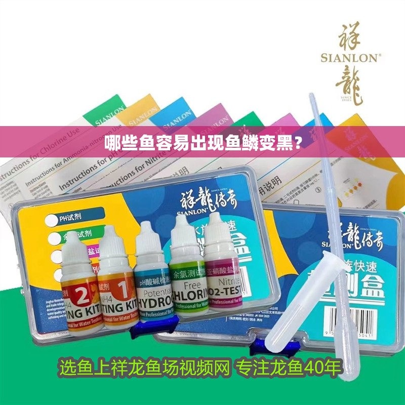 哪些魚容易出現魚鱗變黑？