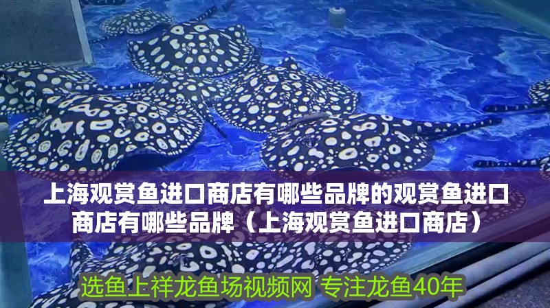 上海觀賞魚進(jìn)口商店有哪些品牌的觀賞魚進(jìn)口商店有哪些品牌（上海觀賞魚進(jìn)口商店）