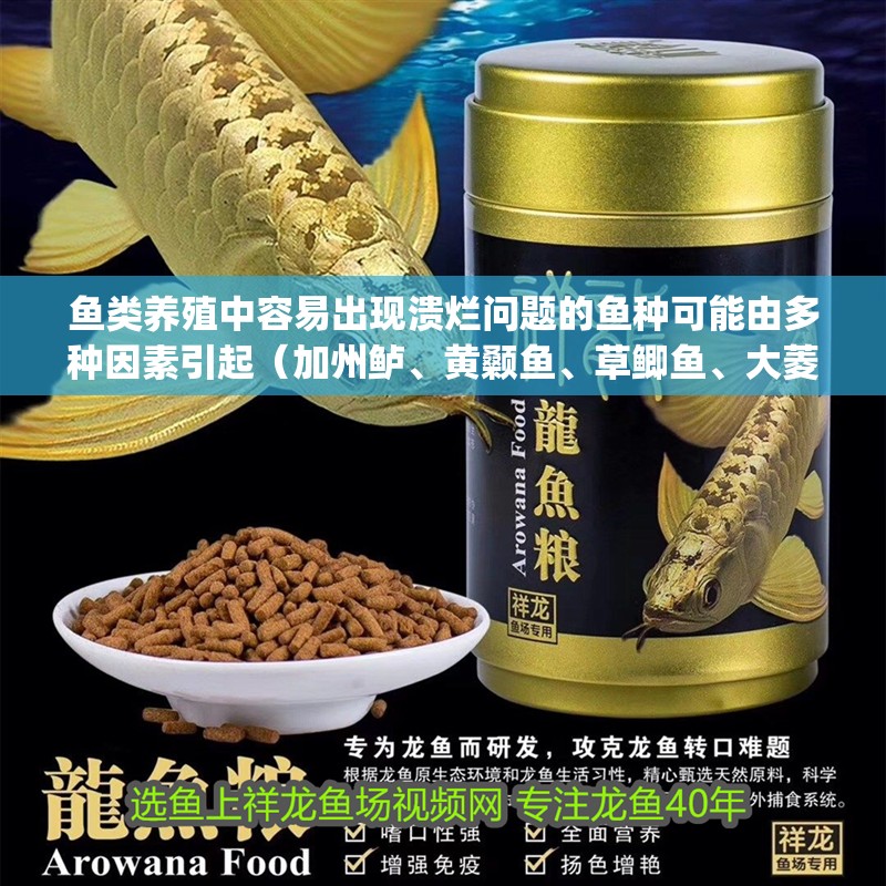 魚類養(yǎng)殖中容易出現(xiàn)潰爛問題的魚種可能由多種因素引起（加州鱸、黃顙魚、草鯽魚、大菱[需手動填充]養(yǎng)殖中容易出現(xiàn)潰爛問題）