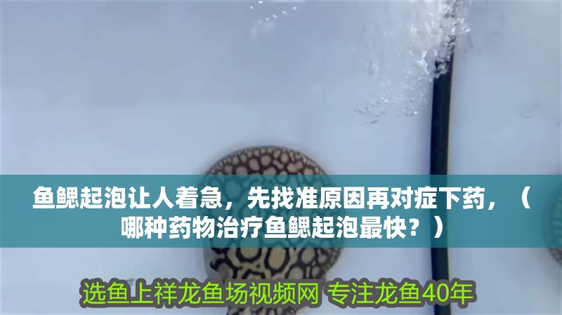 魚鰓起泡讓人著急，先找準原因再對癥下藥，（哪種藥物治療魚鰓起泡最快？）