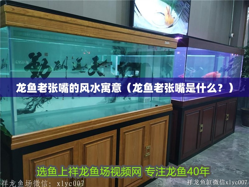 龍魚老張嘴的風水寓意（龍魚老張嘴是什么？）
